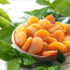 HEALTH BENEFITS OF DRY APRICOT