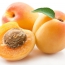 HISTORY OF APRICOT